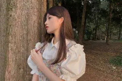 《2024年明星人设崩塌现象的传播学解读》范文